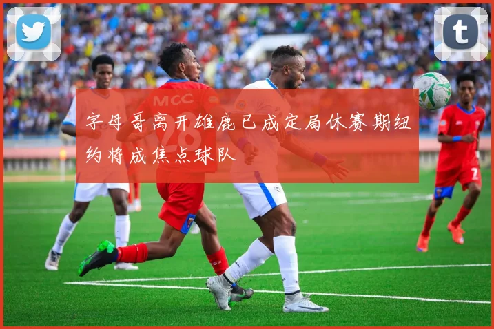 字母哥离开雄鹿已成定局休赛期纽约将成焦点球队